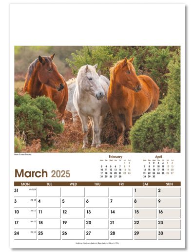 NWO053-rural-life-optima-wall-calendar-march
