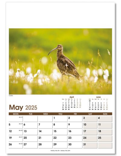 NWO053-rural-life-optima-wall-calendar-may