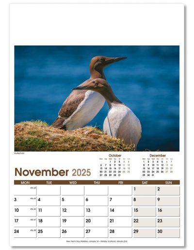NWO053-rural-life-optima-wall-calendar-november