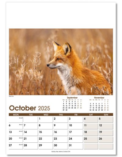 NWO053-rural-life-optima-wall-calendar-october