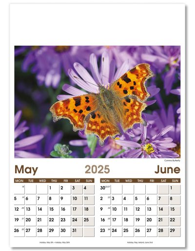 NWO057-7-leaf-rural-life-optima-wall-calendar-may-jun