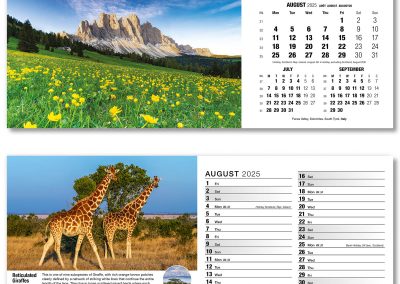 201015-our-world-in-trust-desk-calendar-august