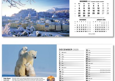 201015-our-world-in-trust-desk-calendar-december