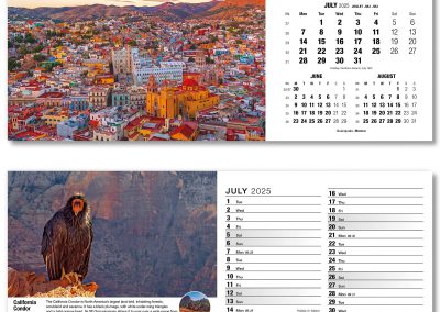 201015-our-world-in-trust-desk-calendar-july
