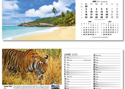 201015-our-world-in-trust-desk-calendar-june