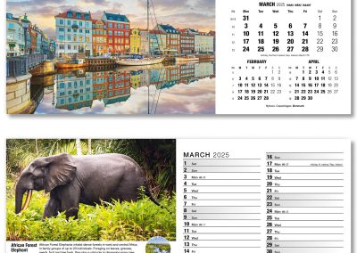 201015-our-world-in-trust-desk-calendar-march