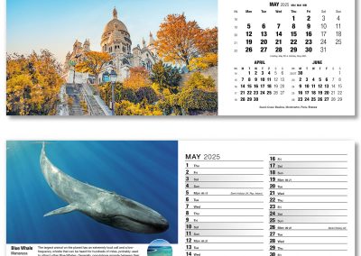 201015-our-world-in-trust-desk-calendar-may