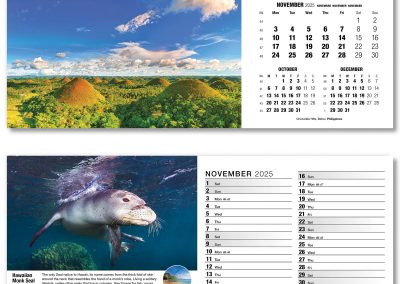 201015-our-world-in-trust-desk-calendar-november