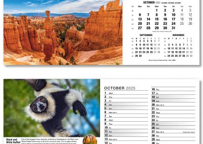 201015-our-world-in-trust-desk-calendar-october