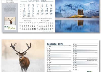 201115-photo-britain-desk-calendar-december