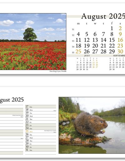 804715-photo-life-desk-calendar-august