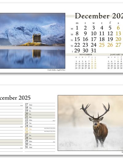 804715-photo-life-desk-calendar-december