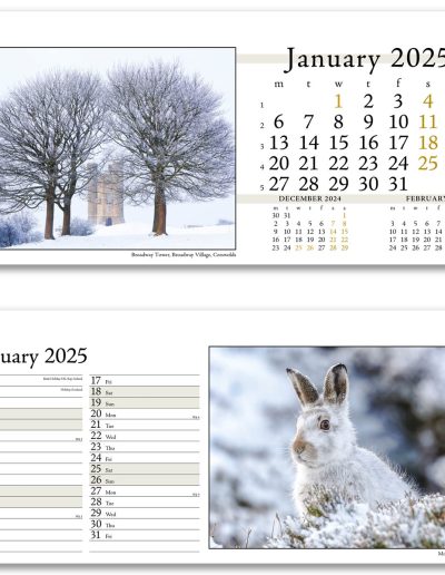 804715-photo-life-desk-calendar-january