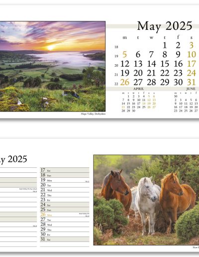 804715-photo-life-desk-calendar-may