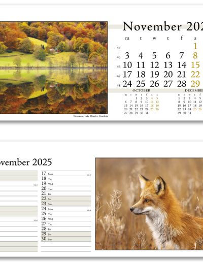 804715-photo-life-desk-calendar-november