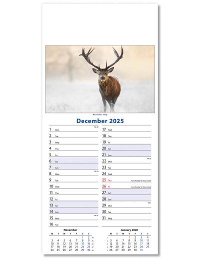 110415-wildlife-wall-calendar-december