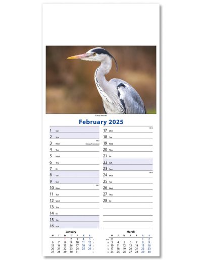 110415-wildlife-wall-calendar-february