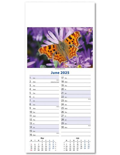 110415-wildlife-wall-calendar-june