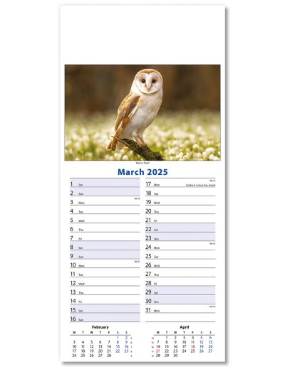 110415-wildlife-wall-calendar-march