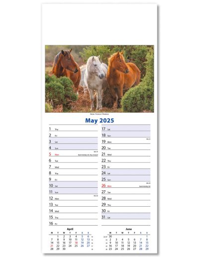 110415-wildlife-wall-calendar-may