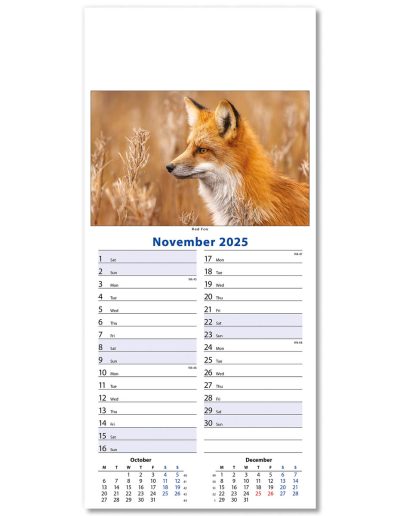 110415-wildlife-wall-calendar-november