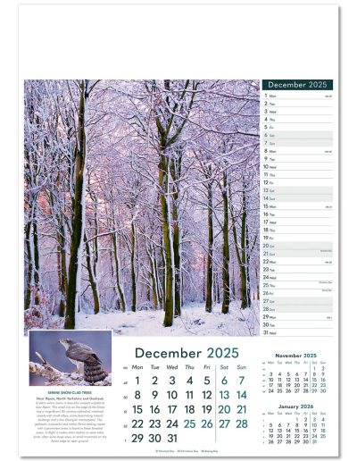 110515-wonders-of-nature-wall-calendar-december
