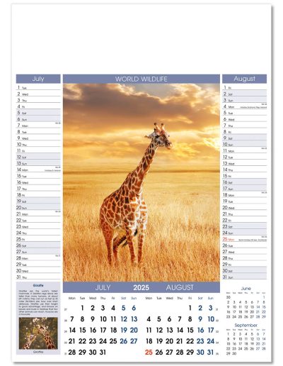 110815-world-wildlife-wall-calendar-jul-aug