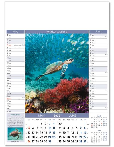 110815-world-wildlife-wall-calendar-may-jun