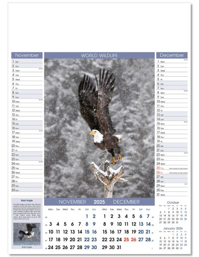 110815-world-wildlife-wall-calendar-nov-dec