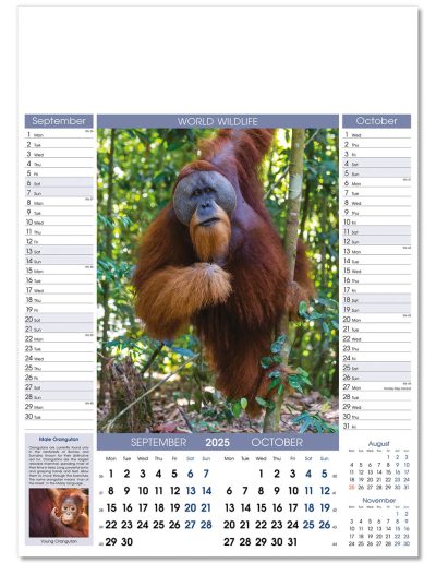 110815-world-wildlife-wall-calendar-sep-oct